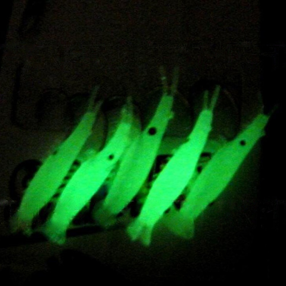 1 حزمة (5 قطعة) المياه المالحة - مراجعة Fishing Lure Making Kit وسعره